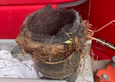 Quality Plumbing Services